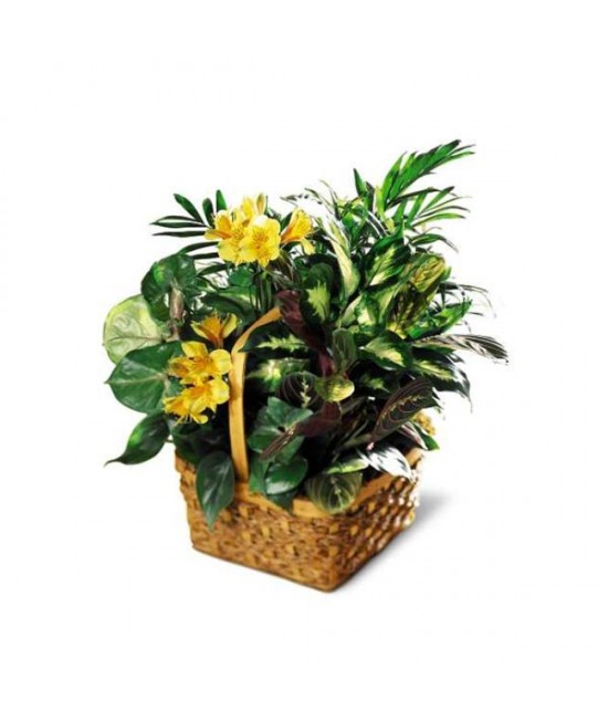 A Bit Of Sunshine Basket A Bit Of Sunshine Basket
